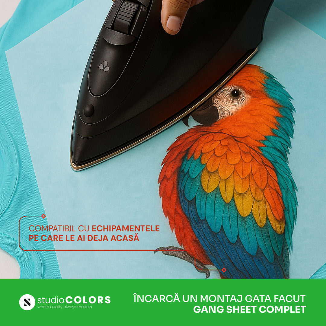 Montaj DTF - Propriu