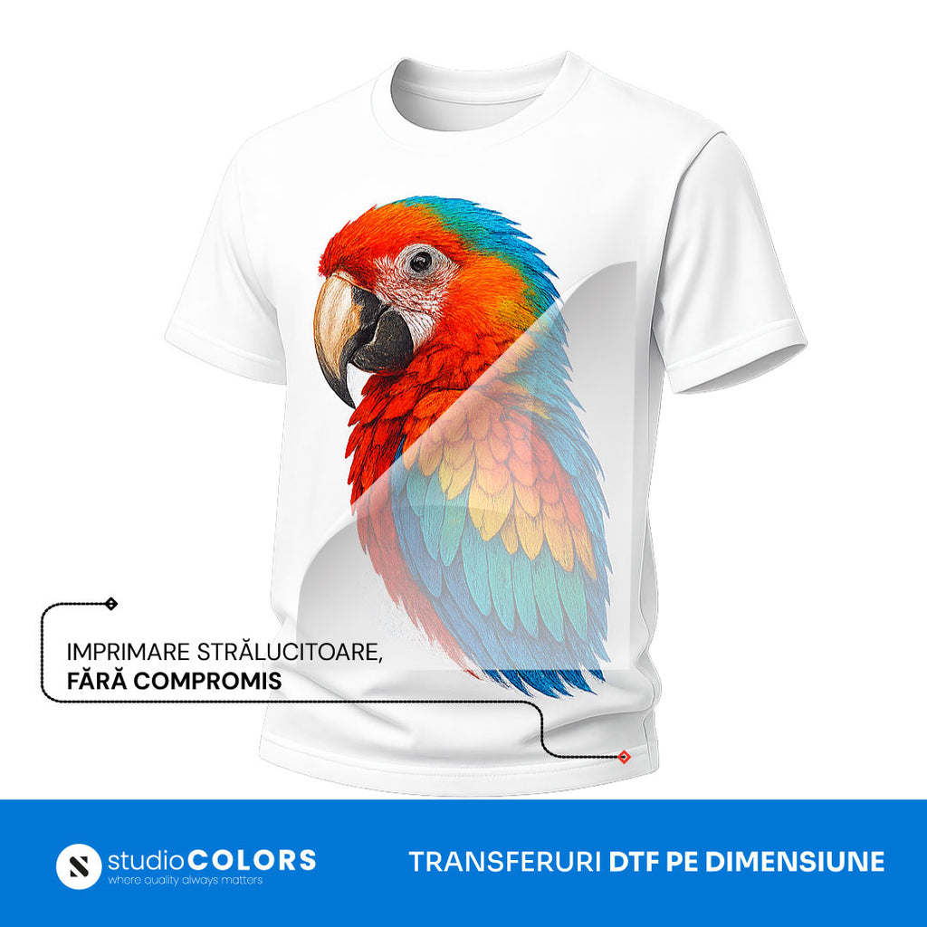 Film DTF pe Dimensiune