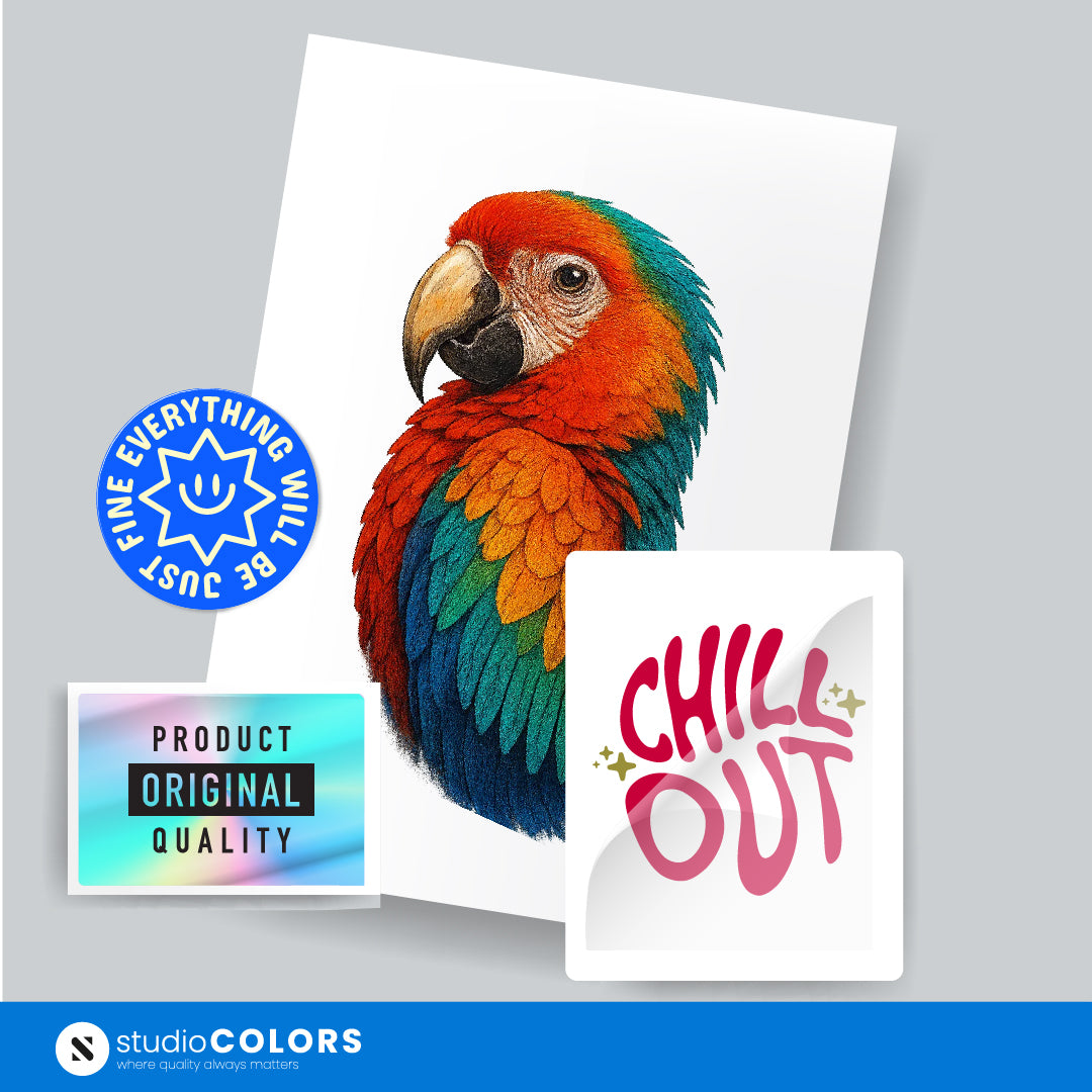 Film DTF pe Dimensiune Imagine principală a produsului